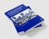 Strategic Human Capital Development in Asia