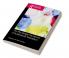 Routledge Handbook of Audiovisual Translation