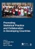 Promoting Statistical Practice and Collaboration in Developing Countries