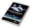 Physiology of Marine Mammals
