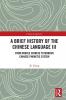Brief History of the Chinese Language III