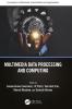 Multimedia Data Processing and Computing