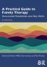 Practical Guide to Family Therapy