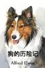 &#29399;&#30340;&#21382;&#38505;&#35760;