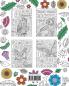 Owl Coloring Book