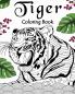 Tiger Coloring Book