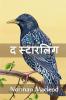 &#2342; &#2360;&#2381;&#2335;&#2366;&#2352;&#2354;&#2367;&#2306;&#2327;