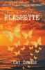 Flashbyte