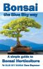 Bonsai the Blue Sky way
