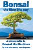 Bonsai the Blue Sky way