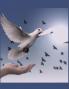 Dove Christian Inspirational Notebook