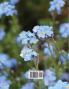 Anglotopia Magazine - Issue #2 - London Tube Cornwall Oxford London Blitz Doctor Who Routemaster and More!