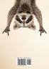 Raccoon's Story