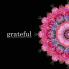 Grateful