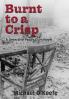 Burnt to a Crisp-a Detective Paddy Durr novel Book 3