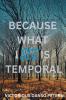 Because What I See Is Temporal