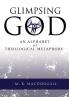 Glimpsing God