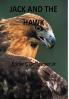 Jack and the Hawk