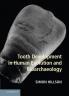 Tooth Development in Human Evolution and Bioarchaeology