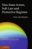Non-State Actors Soft Law and Protective Regimes