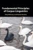 Fundamental Principles of Corpus Linguistics