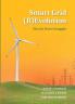 Smart Grid (R)Evolution