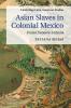 Asian Slaves in Colonial Mexico