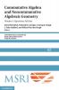 Commutative Algebra and Noncommutative Algebraic Geometry