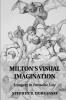 Milton's Visual Imagination
