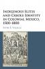 Indigenous Elites and Creole Identity in Colonial Mexico 1500-1800