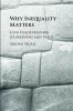 Why Inequality Matters