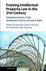 Framing Intellectual Property Law in the 21st             Century