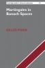 Martingales in Banach Spaces