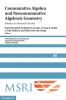 Commutative Algebra and Noncommutative Algebraic Geometry
