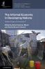 The Informal Economy in Developing Nations