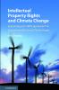 Intellectual Property Rights and Climate Change