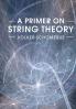 A Primer on String Theory