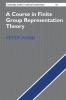 A Course in Finite Group Representation Theory