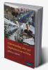 Understanding Labor and Employment Law in China