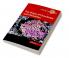 The Origin of Chondrules and Chondrites