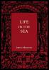 Life in the Sea