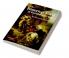 The Historical Novel in Europe 1650 1950