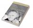 The Music of Louis Andriessen