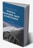 Wind as a Geomorphic Agent in Cold Climates