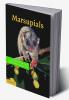 Marsupials