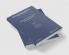 Materials and Devices for Smart Systems III
