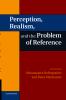 Perception Realism and the Problem of Reference