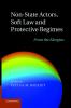 Non-State Actors Soft Law and Protective Regimes