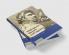Shakespeare Rhetoric and Cognition