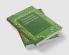 Philosophical Incursions Into English Literature